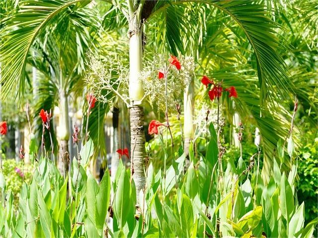 River Ray Estates Resort Loc An ภายนอก รูปภาพ